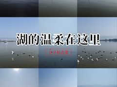 -西昌邛海湿地