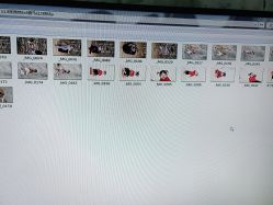 -童影世家儿童摄影(梨园店)