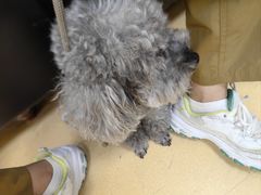 -瑞派天宁宠物医院·猫科·异宠中心