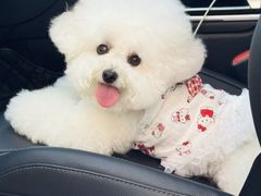 -小猫来了·猫舍(红山六九七九店)
