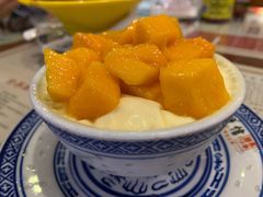 双皮奶-捷信牛奶甜品世家(五道口店)