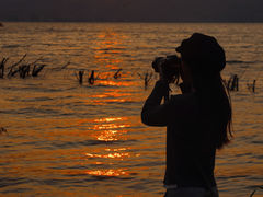 -阳宗海湿地