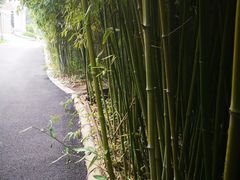 -北京宽沟会议中心