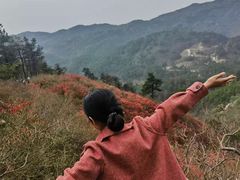 -木兰云雾山