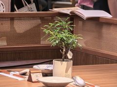 -CURRY YA 熟成咖哩專門店(深圳湾万象城店)
