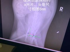 -瑞鹏宠物医院·爱宠堂·骨外专科(西荷分院)