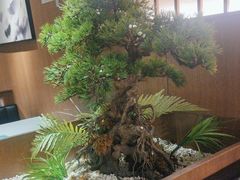 -湘邻呷铺·田园家宴(汉基广场店)