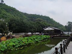 -荷塘味道(水长城店)
