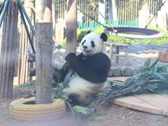 -大连森林动物园