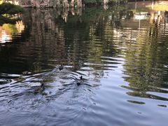 -华雅花园大酒店