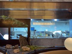 -海派悦庭·海胆烧麦·新融合菜(凯德广场店)