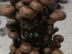 -椰子营·椰子鸡火锅(万象里店)