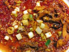 -巴特餐饮6加1音乐餐吧·新疆菜