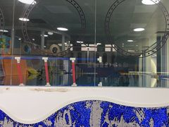 -蓝鲸奇亲子游泳俱乐部