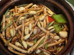 啫啫花生芽-煲煲好(朝阳门店)