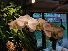 -春暖花开(西溪店)