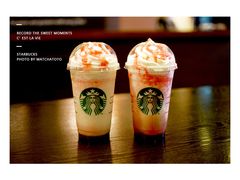 小乐魔星冰乐-星巴克(保定万博广场店)