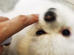 -云中漫步·足疗养生会馆(金开店)