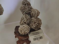 -湖南省地质博物馆