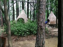 -东湖落雁景区