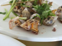 -巽东海鲜大排档(巽寮湾店)