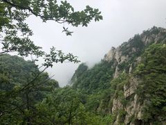 -王顺山国家森林公园