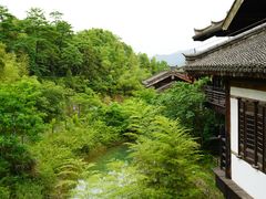 -大唐贡茶院