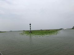 -微山湖红荷湿地景区