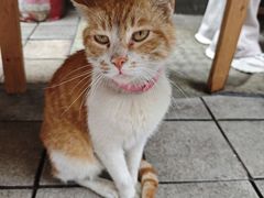 -熊面妈老面馆