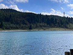 -武陵山森林公园