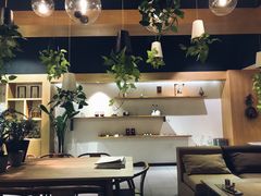 大堂-柴务处·柴犬主题狗咖