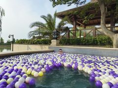 -苏州湾·王焰温泉