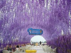 -海豚堡温泉水乐园