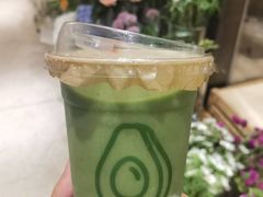 -油梨树AVOCADO TREE(嘉里中心店)