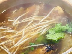 -大中鱼翅 Taitong Shark Fin