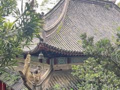 -广州市白云山风景名胜区