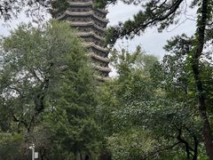 -博雅塔