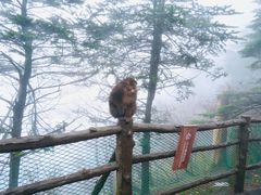 -峨眉山风景名胜区