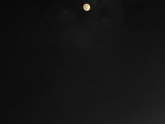 -那红花·东北菜铁锅炖(仙林金鹰店)