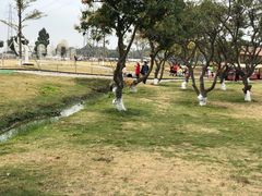 -长洲岛都市农业公园