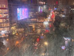 -小大董·烤鸭(观景餐厅·南京西路店)