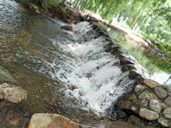 -长白岛森林公园