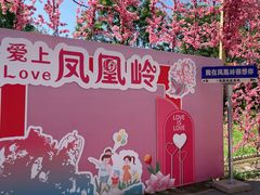 -北京凤凰岭