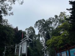 -三门江国家森林公园