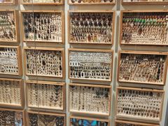 -墨尔本博物馆(Melbourne Museum)