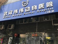 -伟伟宠物医院·CT影像中心·瑞派犬猫综合性门诊(汉口总院)