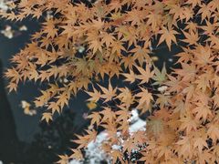 -狼山风景名胜区