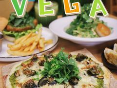 -VEGA VEGA 我行我素