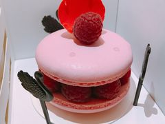 -BLACKSWAN黑天鹅(环球店)