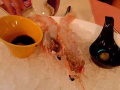 -Oyster Talks 四度蚝法餐厅